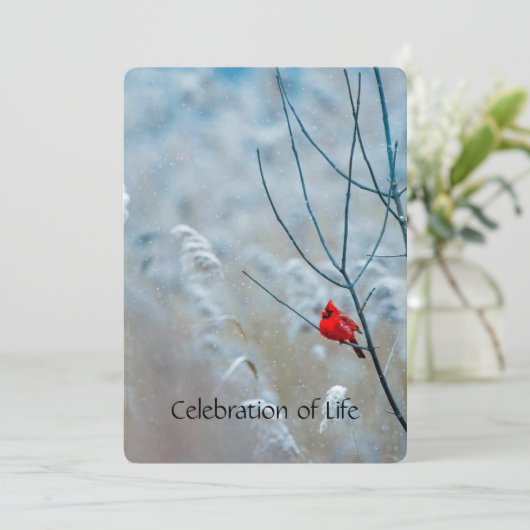 Service commémoratif Invitation Cardinal Red Bird (Debout devant)
