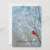 Service commémoratif Invitation Cardinal Red Bird (Devant)