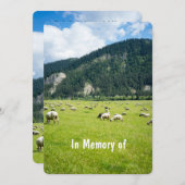 Service commémoratif Invitation éleveur de moutons (Devant / Derrière)