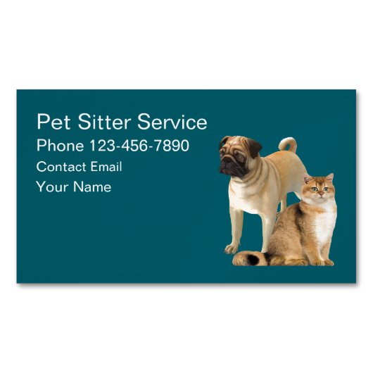 Service de Carte de visite simple Magnets (devant)