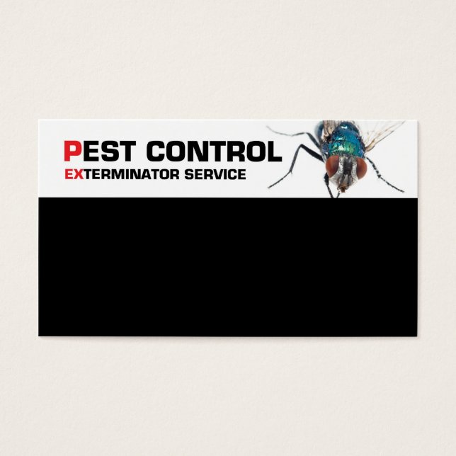 Service de lutte antiparasitaire (Devant)