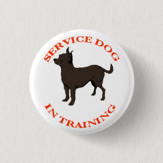 Service Dog in training, knop Ronde Button 3,2 Cm
