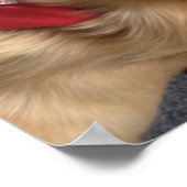 Service Dog Jonah  Smiles at the Dentist Poster (Coin)