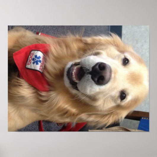 Service Dog Jonah  Smiles at the Dentist Poster (Devant)