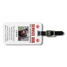 Service Dog - volledige toegang vereist badge