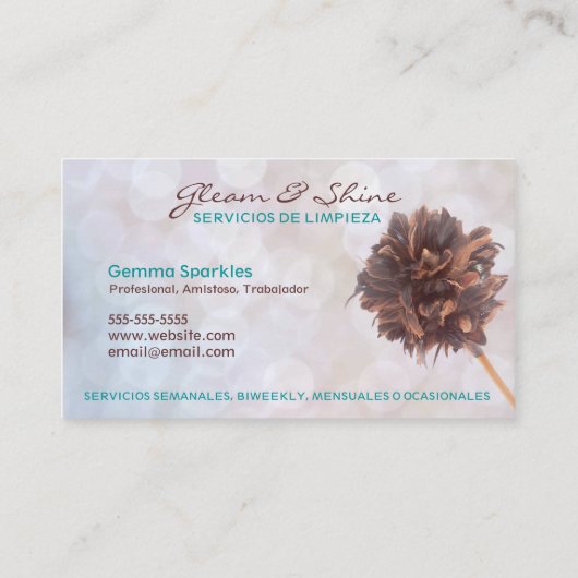 Services de nettoyage bilingue Cartes de visite (Dos)