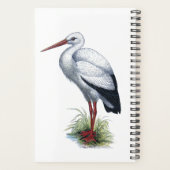 Services de soutien à la naissance de Doula (Dos)