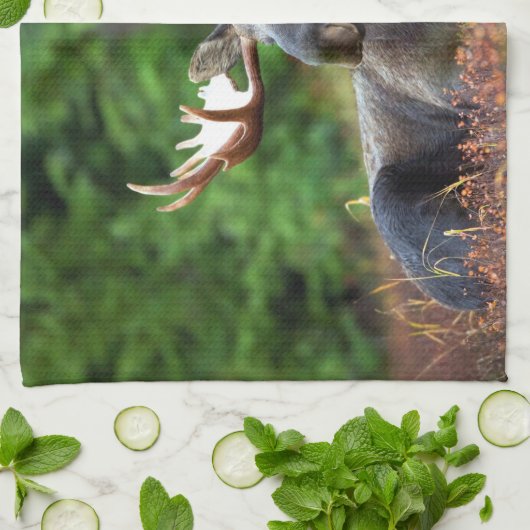 Serviette à main d'orignal (Plié)