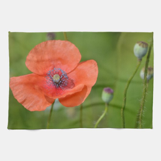 Serviette à plat Red Poppy (Horizontal)