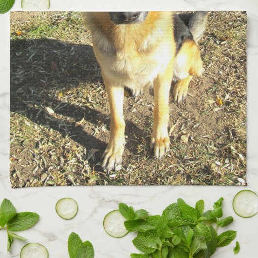 Serviette berger allemande (Plié)