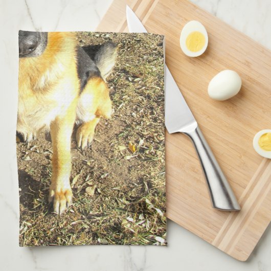 Serviette berger allemande (Quart Plié)