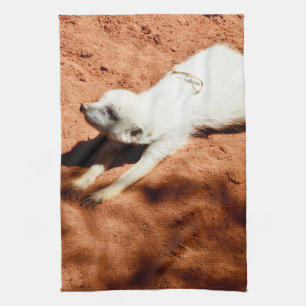 Serviette Blanche Meerkat Étirement