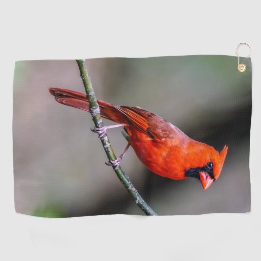 Serviette cardinale de golf (Horizontal)