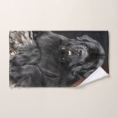 Serviette de bave de roi de souche d'ours Notta (Serviette à main)