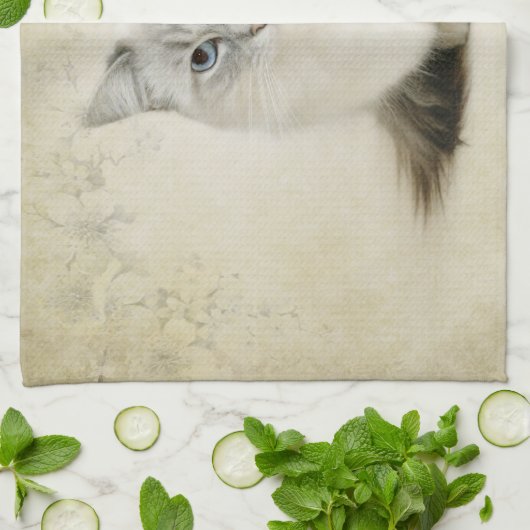 serviette de chat de ragdoll (Plié)