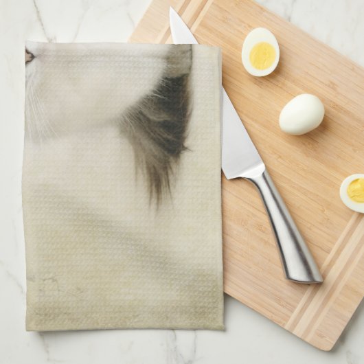 serviette de chat de ragdoll (Quart Plié)