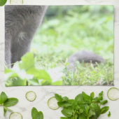 Serviette de chat gris (Plié)