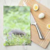 Serviette de chat gris (Quart Plié)