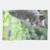 Serviette de chat gris (Horizontal)