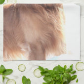 Serviette de chien (Plié)