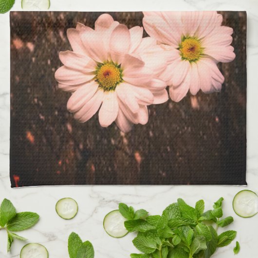 serviette de cuisine (Plié)