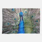 Serviette de cuisine - 018 Peacock (Horizontal)