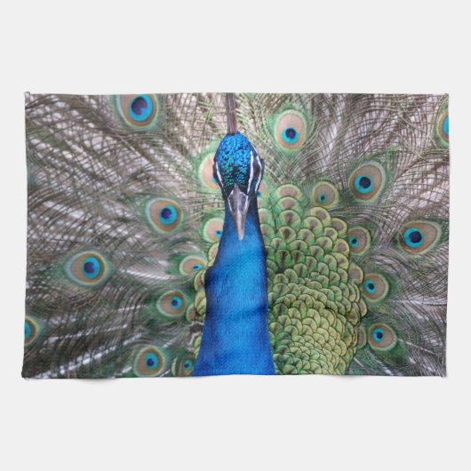 Serviette de cuisine - 018 Peacock (Horizontal)