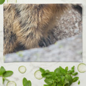 Serviette de cuisine Alpine Marmot (Plié)