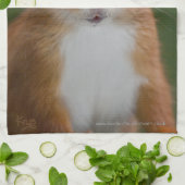 Serviette de cuisine assoiffée d'écureuil (Plié)