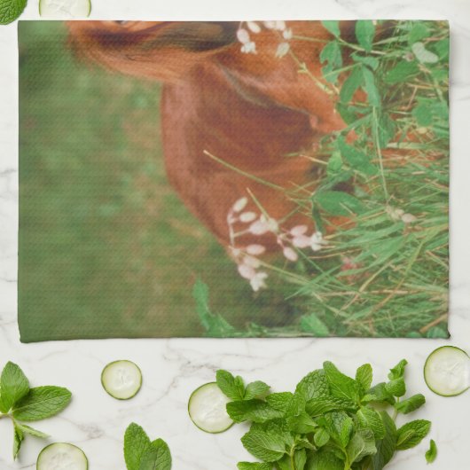 Serviette de cuisine aux cheveux longs rouge de (Plié)