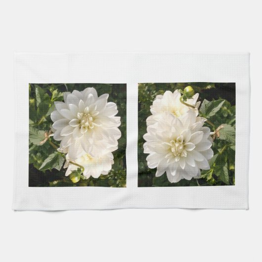 Serviette de cuisine avec deux élégantes dahlias b (Horizontal)