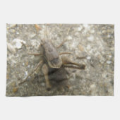 Serviette de cuisine Brown Field Cricket (Horizontal)