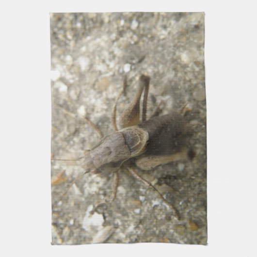 Serviette de cuisine Brown Field Cricket (Vertical)
