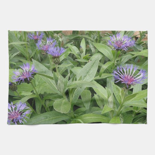 Serviette de cuisine Cornflowers (Horizontal)