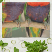 Serviette de cuisine de caresse de Lorikeets (Plié)
