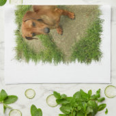 Serviette de cuisine de Daschund (Plié)
