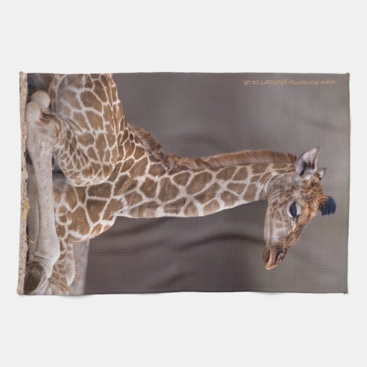 Serviette de cuisine de girafe de bébé (Horizontal)