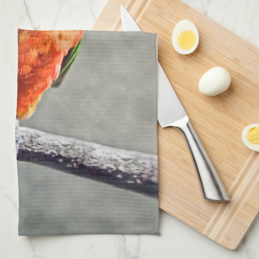 Serviette de cuisine de Jenday Conure (Quart Plié)