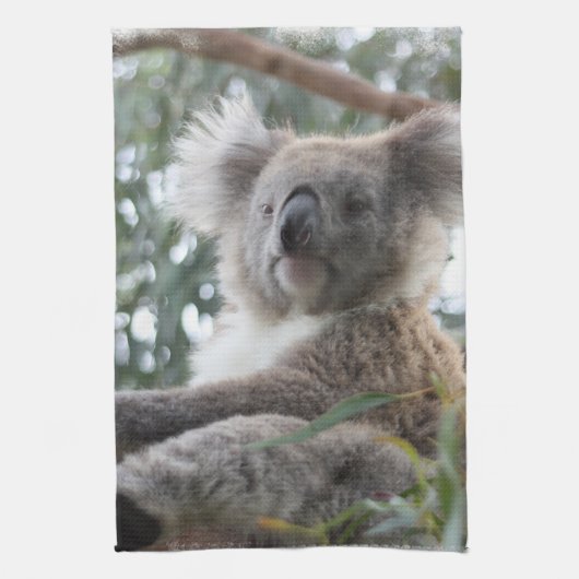 Serviette de cuisine de koala (Vertical)