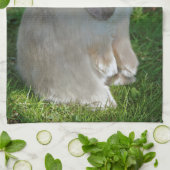 Serviette de cuisine de lapin de Minilop de bébé (Plié)