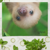 Serviette de cuisine de paresse (Plié)