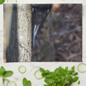 Serviette de cuisine de pivert de Pileated (Plié)