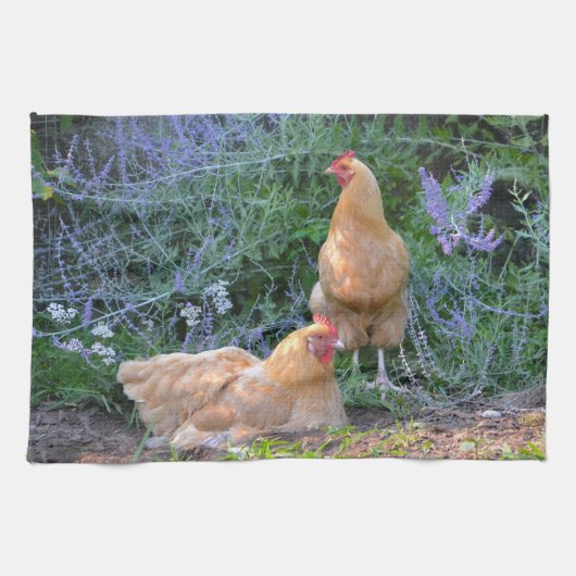 Serviette de cuisine de poulet (Horizontal)