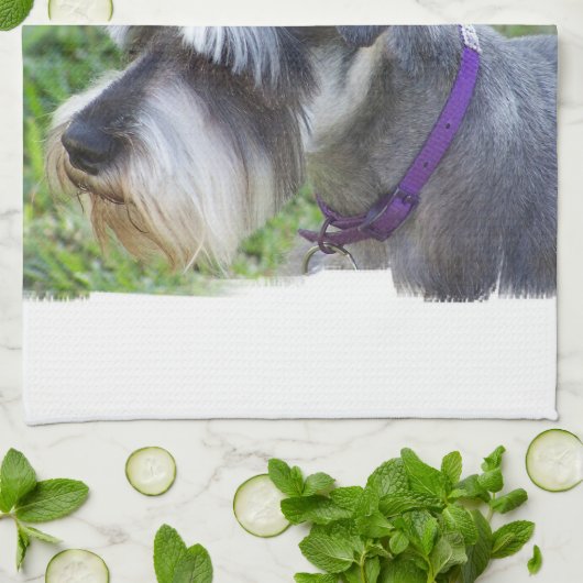 Serviette de cuisine de Schnauzer (Plié)