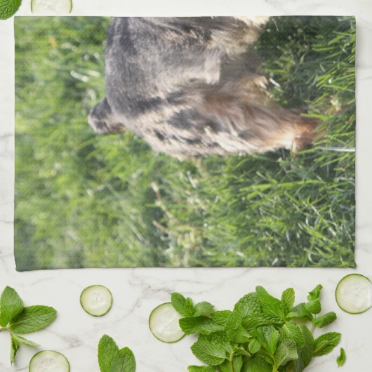 Serviette de cuisine de York Terrier (Plié)