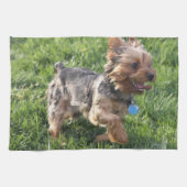 Serviette de cuisine de York Terrier (Horizontal)