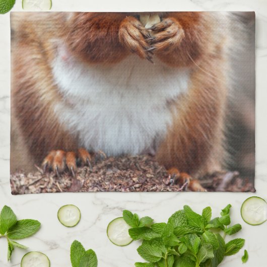 Serviette de cuisine d'écureuil (Plié)