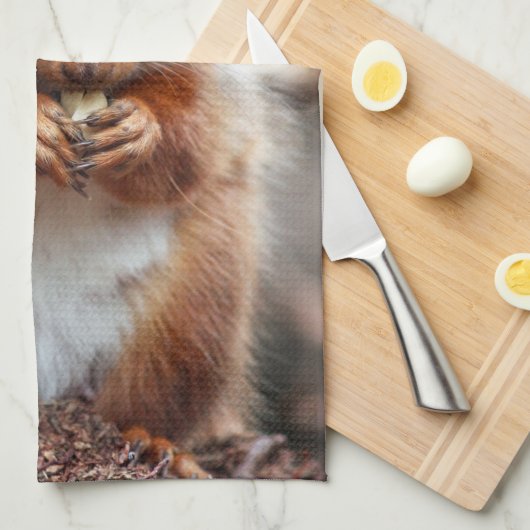 Serviette de cuisine d'écureuil (Quart Plié)