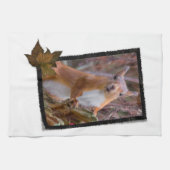 Serviette de cuisine d'écureuil (Horizontal)