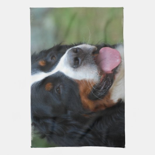 Serviette de cuisine douce de Bernese (Vertical)